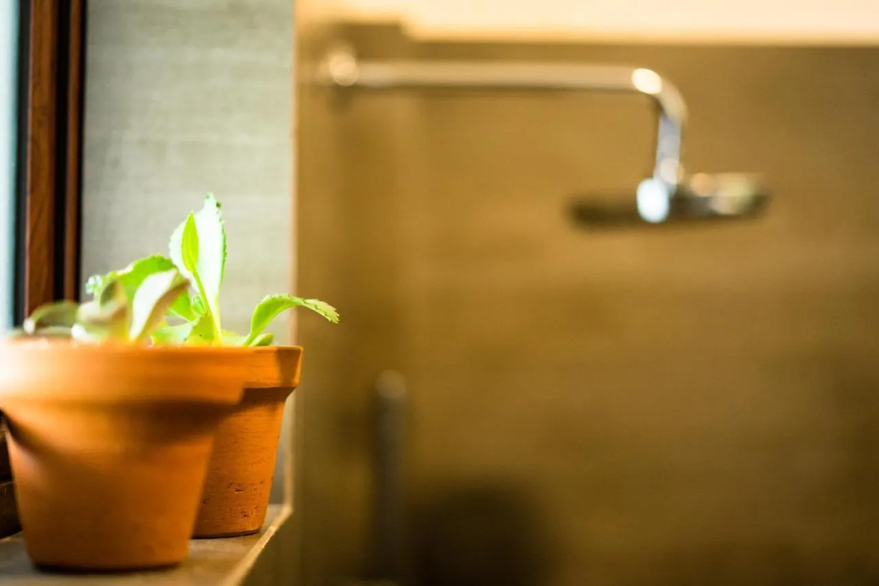 Bed & Breakfast Kozy B&B Dehiwala-Mount Lavinia Sri Lanka